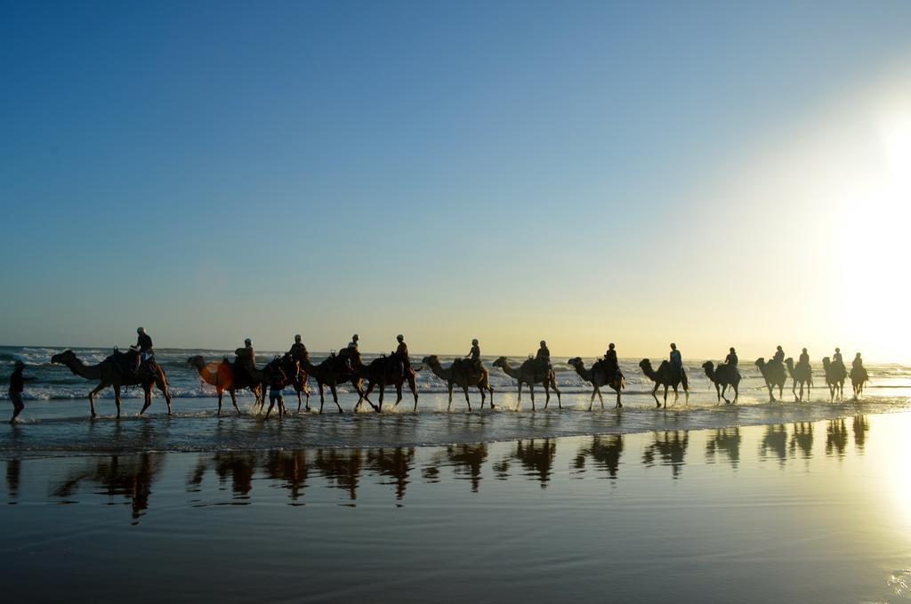 Salamander Bay Bed And Breakfast الغرفة الصورة