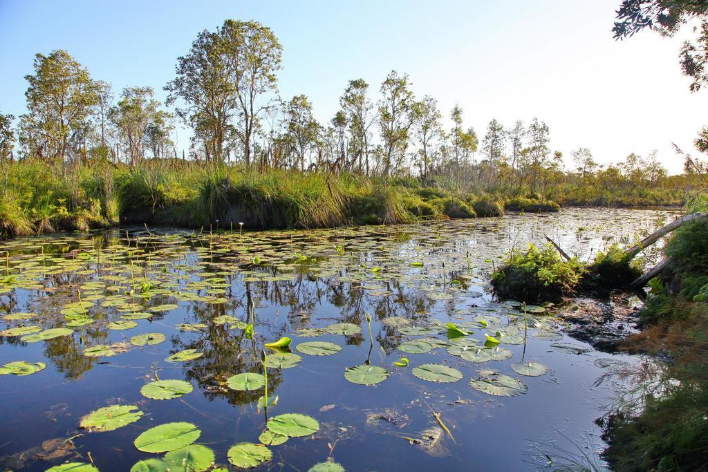 Salamander Bay Bed And Breakfast المظهر الخارجي الصورة